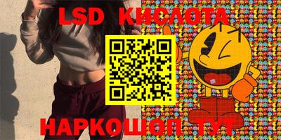 прущие грибы Будённовск