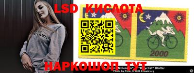 шишки Бузулук