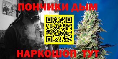 прущие грибы Будённовск