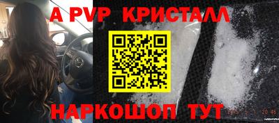 прущие грибы Будённовск